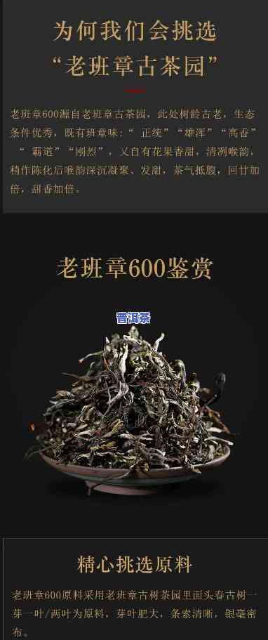 老班章600年古树-老班章600年古树茶