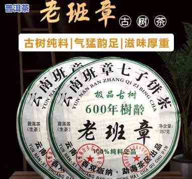 老班章600年古树-老班章600年古树茶