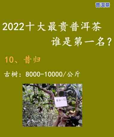 普洱茶叶十强，揭晓普洱茶叶十强，谁是你的更爱？