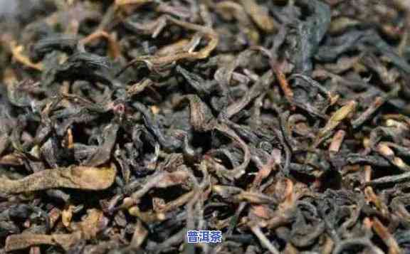 普洱茶怎么煮不会碎茶渣-普洱茶怎么煮不会碎茶渣呢