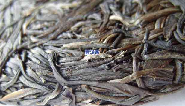 大普洱茶有哪些，探秘茶叶世界：熟悉大普洱茶的种类与特点