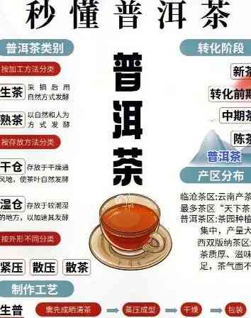 富东普洱茶特点介绍图片-富东普洱茶特点介绍图片大全