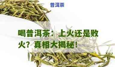 普洱茶败火还是上火，普洱茶：败火还是上火？科学解析茶叶功效