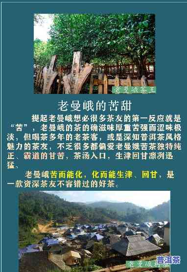 老曼峨班章老树茶，探索神秘的老曼峨班章老树茶：一种特别的云南普洱茶体验