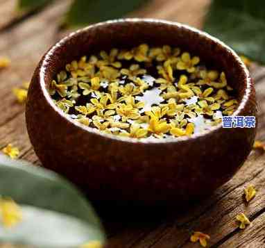 桂花蜜加普洱茶：功效、作用与禁忌全解析