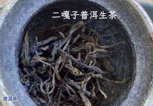 询问二嘎子普洱茶口感：上的评价是怎样的？