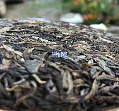 冬天普洱茶怎么选更好的-冬天普洱茶怎么选更好的茶