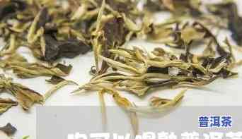 狗能不能喝普洱茶，狗狗能否享用普洱茶？探讨其适宜性和作用