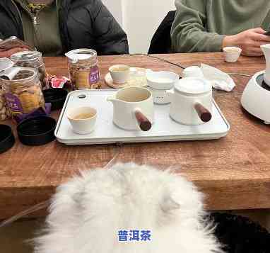 狗能不能喝普洱茶，狗狗能否享用普洱茶？探讨其适宜性和作用