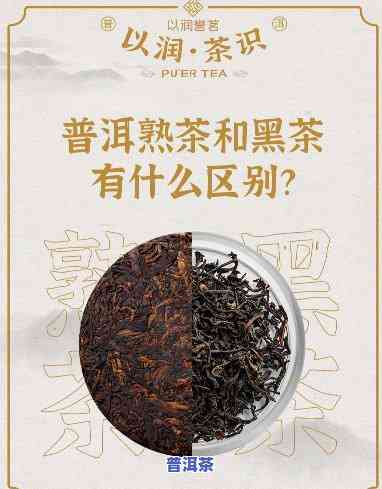 黑茶与普洱熟茶的区别，深度解析：黑茶与普洱熟茶的五大区别