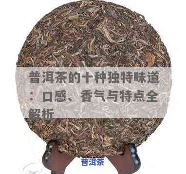 普洱茶：探索其特别香气及其特征