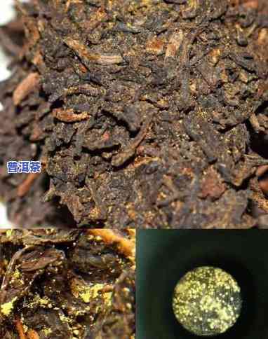 熟普洱和黑茶哪个口感更胜一筹？对比解析