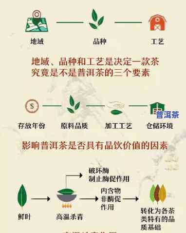 普洱茶萎凋工艺：控制要点与流程解析