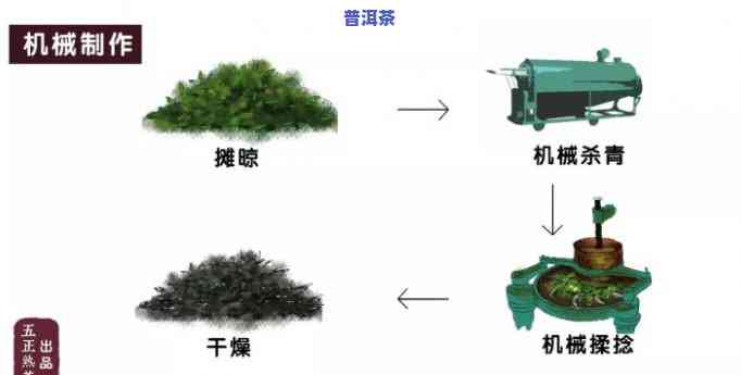 普洱茶萎凋技巧图解视频教程：从入门到精通