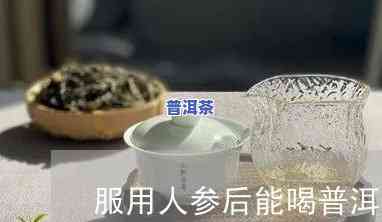 喝人参能喝普洱茶吗，探讨人参与普洱茶的搭配饮用效果