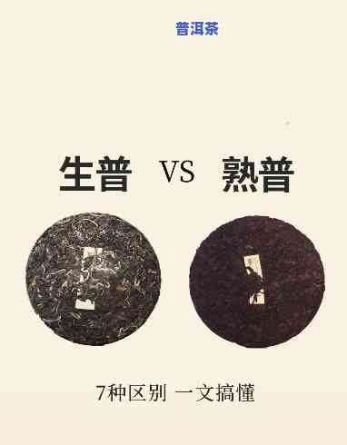 熟普洱生普洱哪个好，熟普洱 vs 生普洱：哪个更好？一份全面的比较与评价