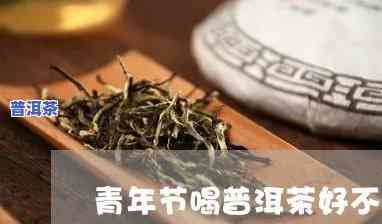 青年节喝普洱茶好？上有相关讨论吗？