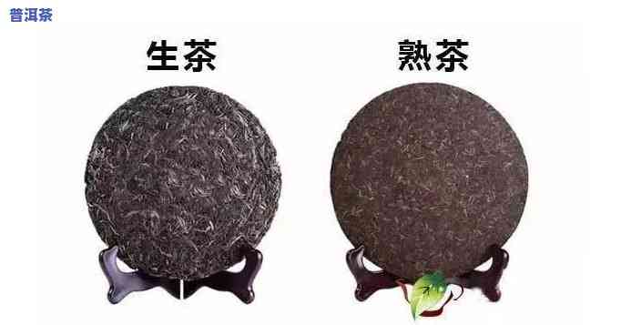 普洱茶怎样分辨好坏？生熟有何区别？哪里买最正宗？