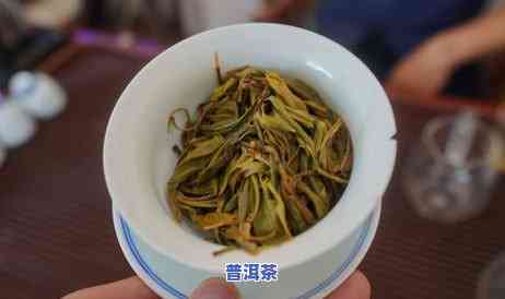 茶王老班章百年古树-老班章茶王树68万