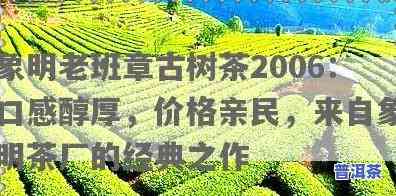 象明茶厂老班章价格-象明茶厂老班章2006年