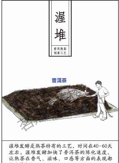 为什么发明普洱茶饼？ - 探索其历史与制作过程的视频