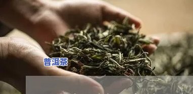 喝普洱茶为什么会升糖？详解起因及作用因素