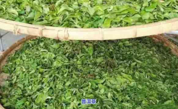 小罐普洱茶视频制作过程图片，揭秘小罐普洱茶的制作过程：从茶叶采摘到成品的照片记录