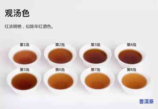 小罐茶熟普洱怎么喝才好喝，小罐茶熟普洱的正确冲泡方法，让你品尝到更好的口感！