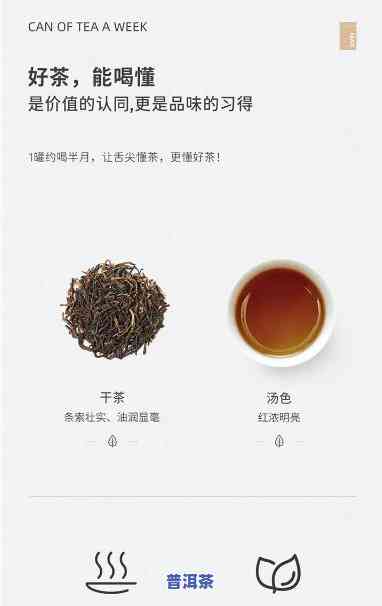 小罐茶熟普洱怎么喝-小罐茶熟普洱怎么喝好喝