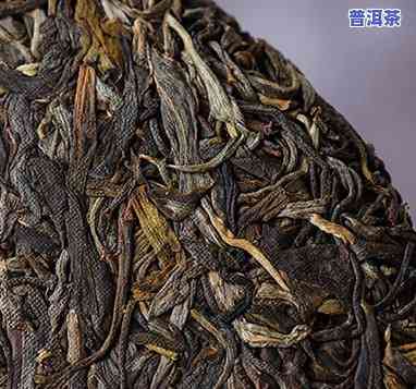 新疆古树普洱茶保存时间多久？影响因素与更佳期限解析