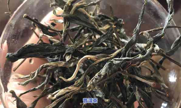 古树普洱茶保存方法，珍藏之道：古树普洱茶的正确保存方法