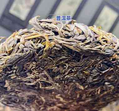 新疆古树普洱茶排行-新疆古树普洱茶排行榜