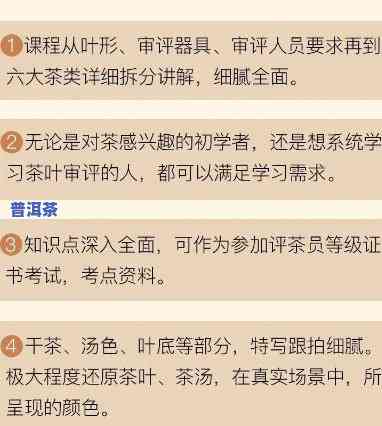 普洱茶审评标准及表格：详细解读与应用