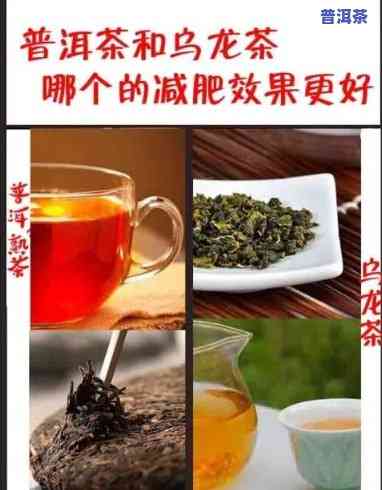 减肥喝乌龙还是普洱茶好-减肥喝乌龙还是普洱茶好呢