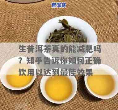 喝生普洱茶能减肥吗？女性适用吗？正确的饮用方法是什么？