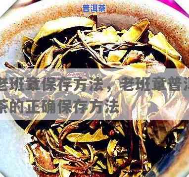 老班章茶叶怎么保存，怎样妥善保存老班章茶叶？一份详细的指南