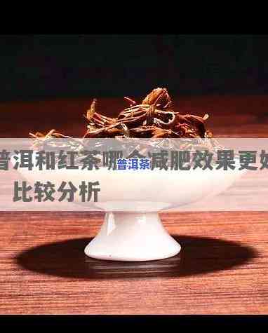 红茶减肥还是普洱茶减肥？效果哪个更好？