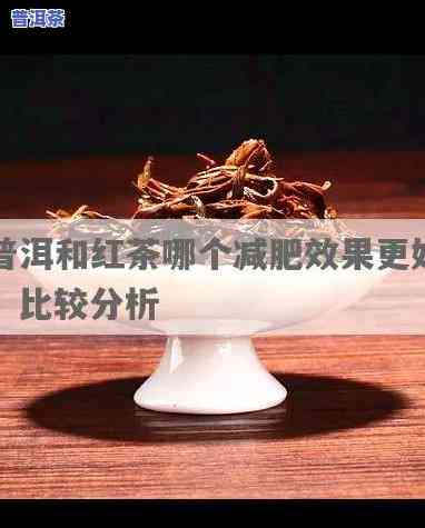 红茶和熟普哪个更有效减肥？探究两款茶的减肥效果对比