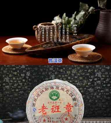 老曼峨班章普洱茶价格，【老曼峨班章普洱茶价格】——品味云南古树茗香