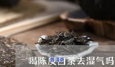 陈皮普洱茶：女性能否饮用以祛湿？