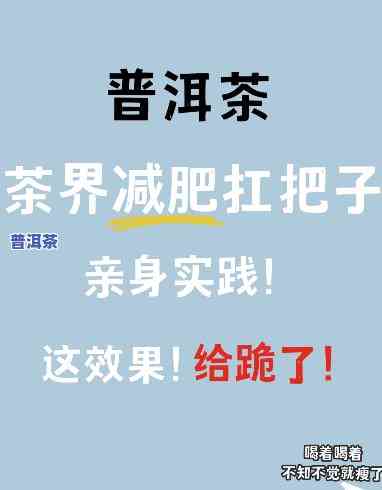 哪个普洱茶减肥效果更好？请看详细评测！