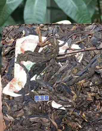 老班章砖茶鉴别方法与价格解析：2006年老班章茶砖全面评估