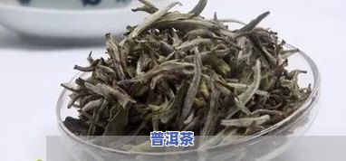 吃完羊肉多久能喝普洱茶-吃完羊肉多久能喝普洱茶啊