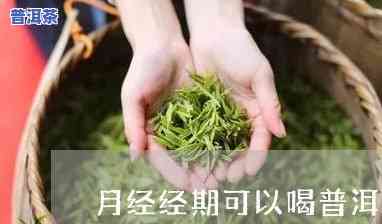 喝完熟普洱后来例假正常吗，喝熟普洱茶对月经有作用吗？