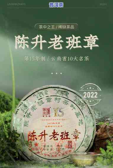 陈升老班章125克：收藏价值与357克茶饼的区别