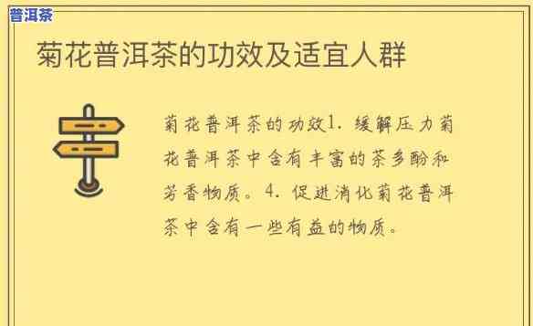 普洱茶与菊花茶：口感、健康效果比较