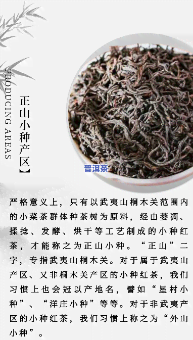 普洱茶与正山小种：功效与口感的比较