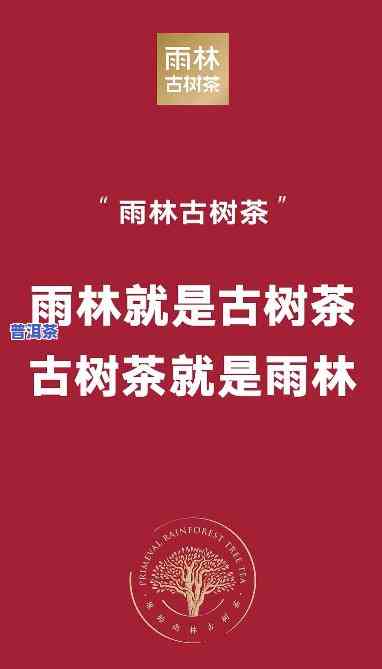 老班章雨林古树茶，探索神秘的老班章雨林古树茶：一场味蕾与自然的邂逅