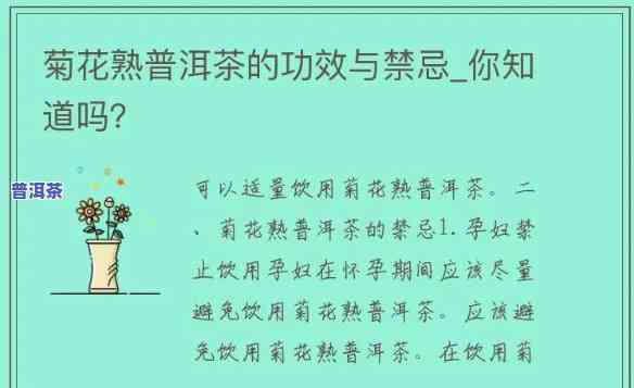 普洱茶和菊花：功效、作用及能否同时饮用？