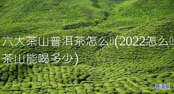 仙女山普洱茶口感怎样样-仙女山普洱茶口感怎样样啊